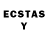 Ecstasy Philipp Plein Tehe